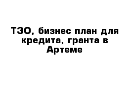 ТЭО, бизнес-план для кредита, гранта в Артеме